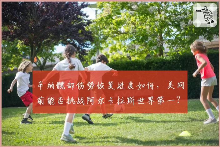辛纳髋部伤势恢复进度如何，美网前能否挑战阿尔卡拉斯世界第一？