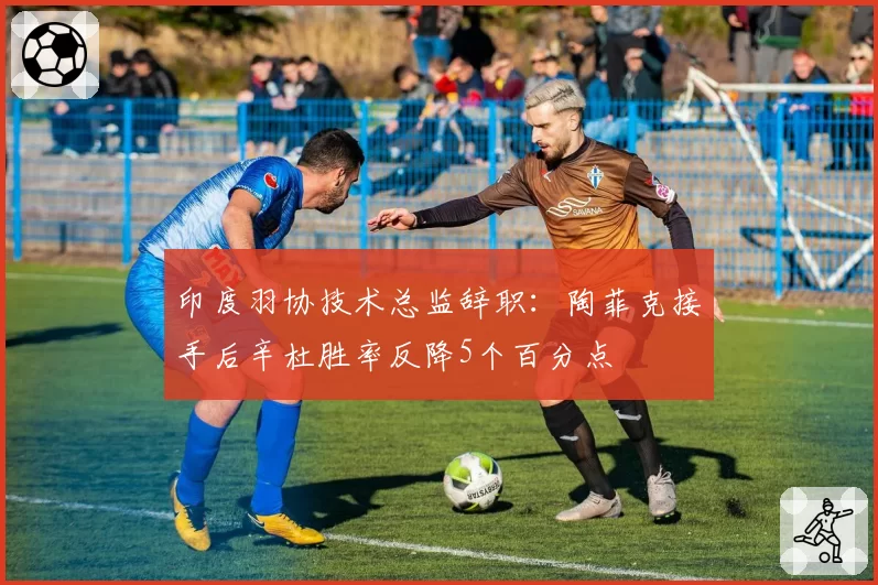 印度羽协技术总监辞职:陶菲克接手后辛杜胜率反降5个百分点
